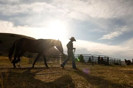 Discover the American Cowgirls Reshaping Modern Ranch Life