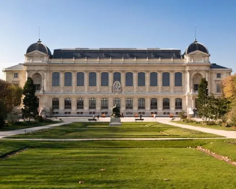 Historic Golden Pieces Stolen in Daring Heist at French Natural History Institution
